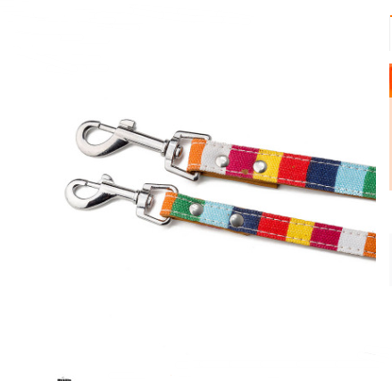 Colorful Pet Leash — Canvas & PU Walking Leash with Vibrant Pattern