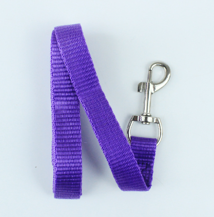Everyday Dog Leash — 120cm Durable Walking Leash in Vibrant Colours