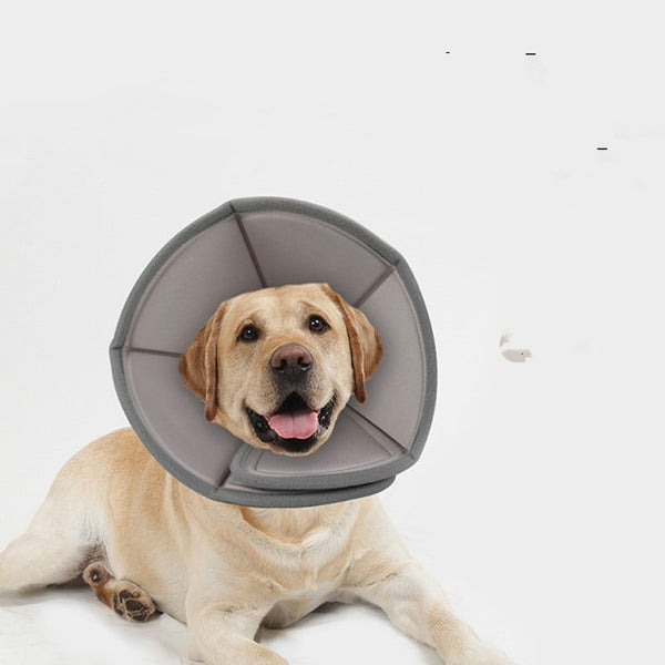 Soft Pet Recovery Collar — Folding Anti-Bite Cone for Cats & Dogs