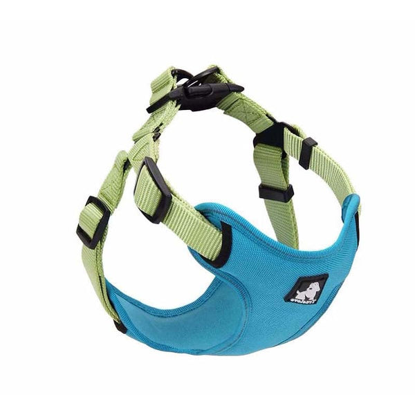 Oxford Mesh Dog Leash & Collar Set — Breathable, Comfortable Walking Gear