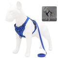 Mesh Vest Dog Harness — Anti-Escape Design for Small & Medium Dogs
