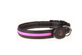 USB Rechargeable LED Dog Collar — Glowing Safety Collar for Night Walks