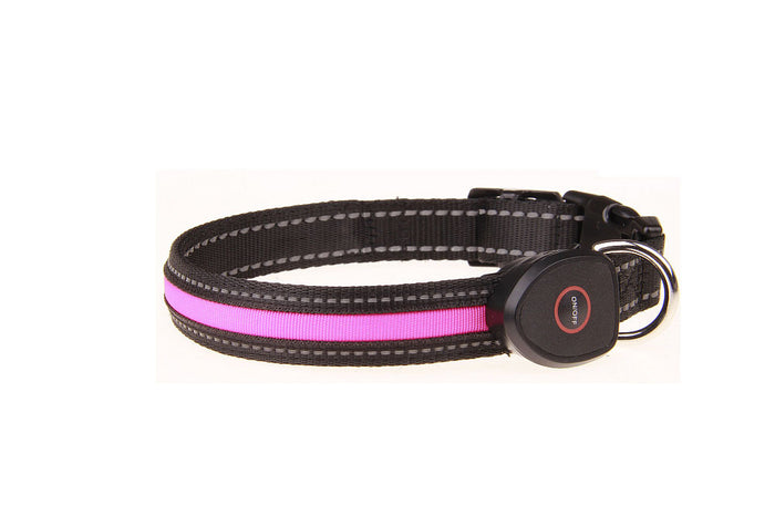 USB Rechargeable LED Dog Collar — Glowing Safety Collar for Night Walks