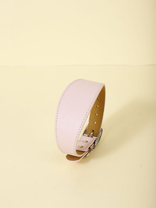 Adjustable Microfiber Pet Collar — Soft Everyday Collar for Dogs & Cats