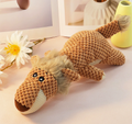 Small Dog Puppy Molar Chew Toy for Dental Care