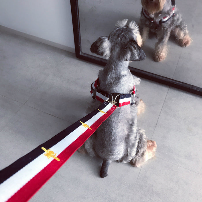 Terylene Dog Harness & Leash Set — Striped Design for All Breeds