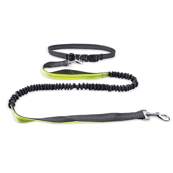 Hands-Free Dog Walking Belt — Detachable Shockproof Bungee Leash for Running