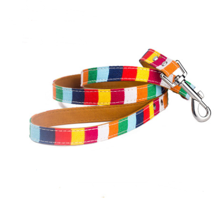 Colorful Pet Leash — Canvas & PU Walking Leash with Vibrant Pattern