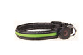 USB Rechargeable LED Dog Collar — Glowing Safety Collar for Night Walks