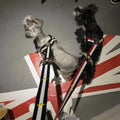 Terylene Dog Harness & Leash Set — Striped Design for All Breeds