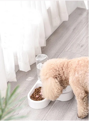 Double Pet Bowl — Dual Compartment, Non-Wet Mouth Design for Cats & Dogs