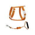 Pet Anti-Breakaway Traction Rope for Safety and Control