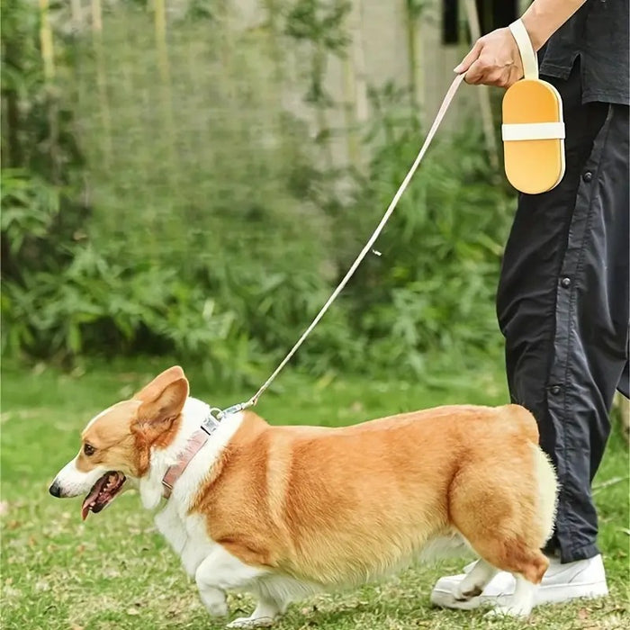 Portable Pet Water Bottle — Ice Cream Design, Leak-Proof for Walks