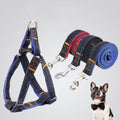 Denim Dog Harness & Leash Set — Style-Forward Walk Gear