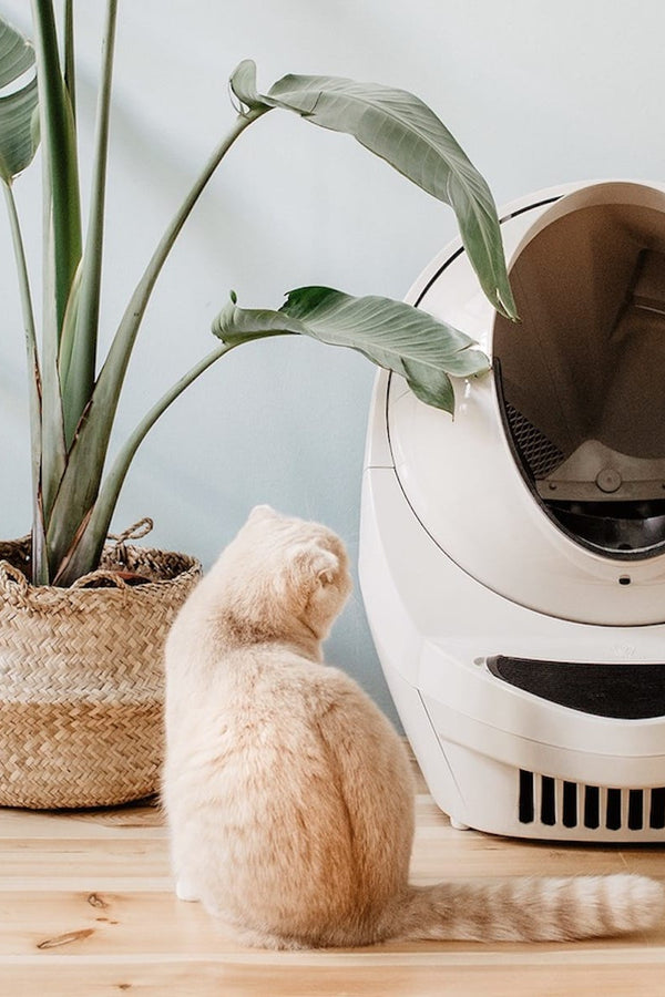 Smart Pet Gadgets