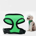 Padded Vest for Small Dogs and Cats