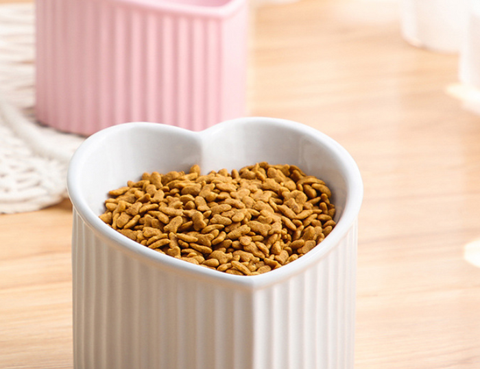 Slanted Ceramic Cat Bowl — Raised Angle for Easier Eating