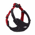 Oxford Mesh Dog Leash & Collar Set — Breathable, Comfortable Walking Gear