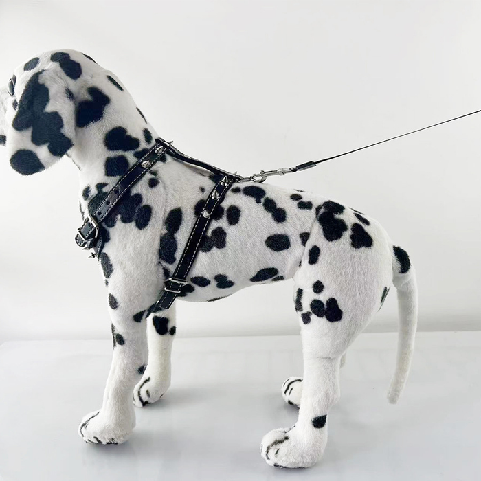 Stylish Adjustable Dog Camisole with Studded Leather Leash