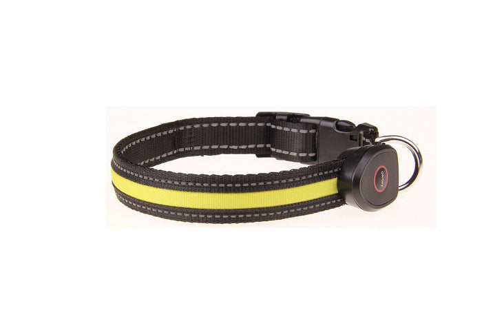 USB Rechargeable LED Dog Collar — Glowing Safety Collar for Night Walks