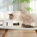 Smart Wireless Pet Water Fountain — 2.6L, Stainless Steel Bowl, Auto-Flow