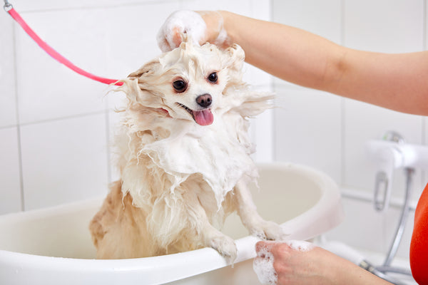 Cleaning & Hygiene